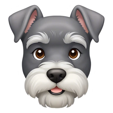 Gray schnauzer with white snout ￼ sticker