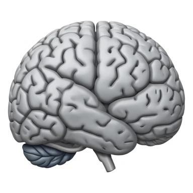 a brain memorising sticker