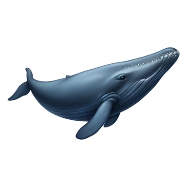 humpback whale sticker