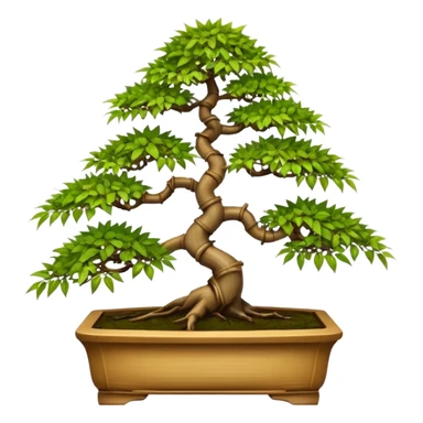 Twisted bamboo floor shelf unit displaying maples and hawthorns bonsai plants(in shallow bonsai pots) cluttered because they have too many  sticker