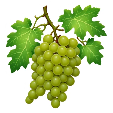 Grape vine sticker
