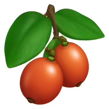 guaraná sticker
