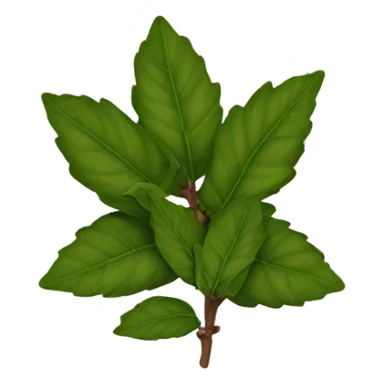 balsam sticker