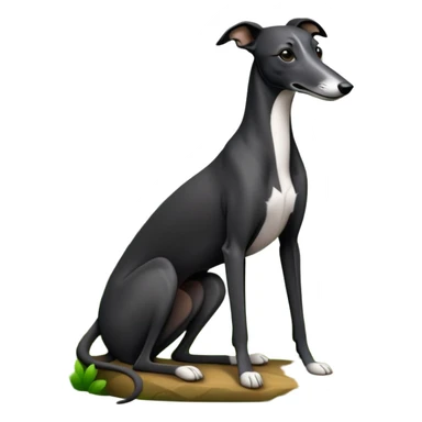 Black greyhound sitting in forest sticker