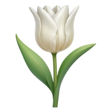 White tulip sticker