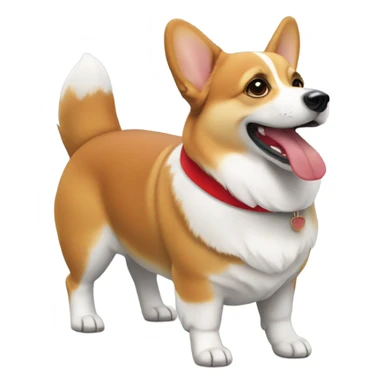 Corgi with red collar sticker