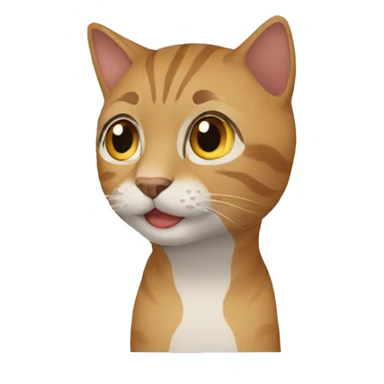 transition video with cat sticker