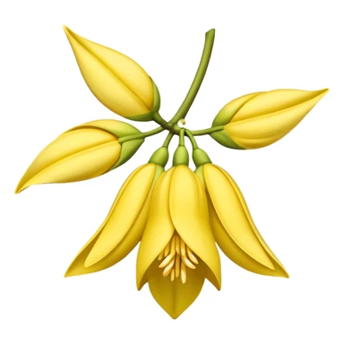 ylang ylang flower little closed sticker