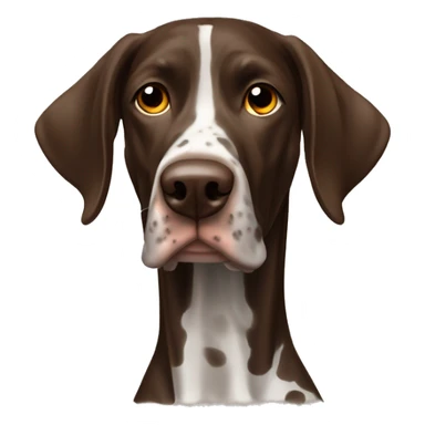 brown Braque Francais dog French Pointer, dark brown roan  sticker
