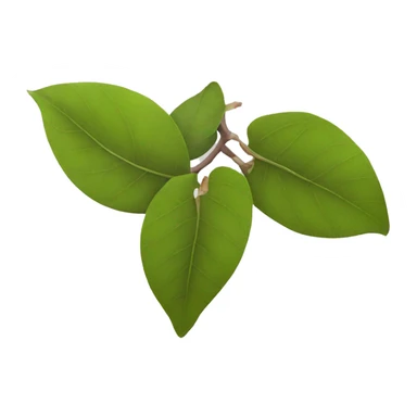 Magnolia leaves  sticker