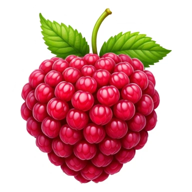 Rasberry sticker
