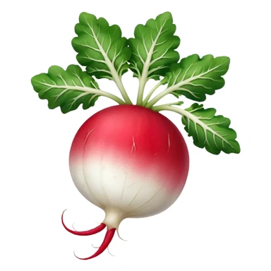 radish UK plant with a bit of white on the bottom of the radish sticker