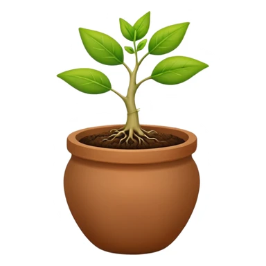 Sprouting seed in a pot sticker