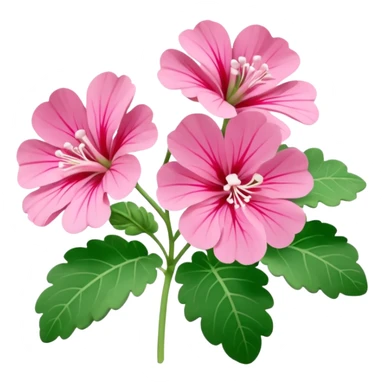 Pelargonier  sticker