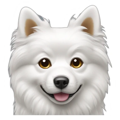 Spitz dog white color sticker