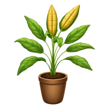 Plantain herb plant sticker
