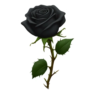 black rose with thorns sticker