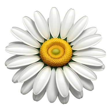 vibrant daisy flower with yellow center sticker