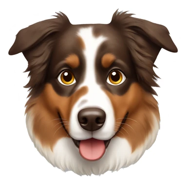 Brown Australian shepherd  sticker