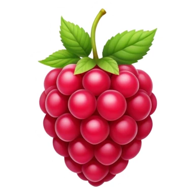 An app logo which includes raspberry sticker