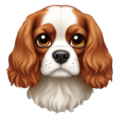 a cavalier king charles spaniel sticker