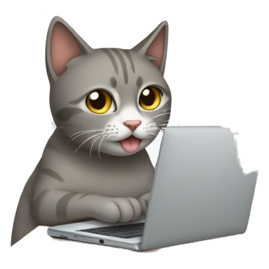 gato usando computadora sticker
