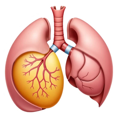 Breast anatomy sticker