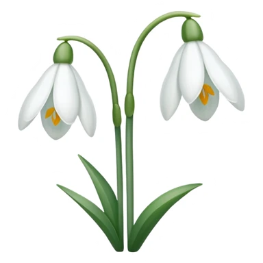 double snowdrop sticker