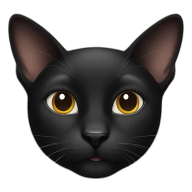 French black cat sticker