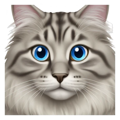 siberian cat blue eyes looking happy sticker