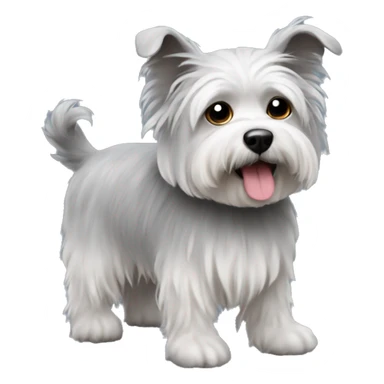 Grey Small Dog with fluffy fur. A mops and terrier mix sticker