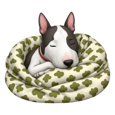 bull terrier sleeping cozy with blanket black head and eats sticker