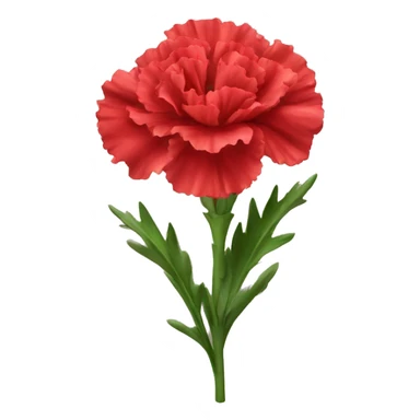 red Carnation flower sticker