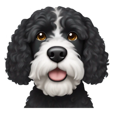 black Portuguese water dog with brown snout and white circle patch of hair on only top of head sticker