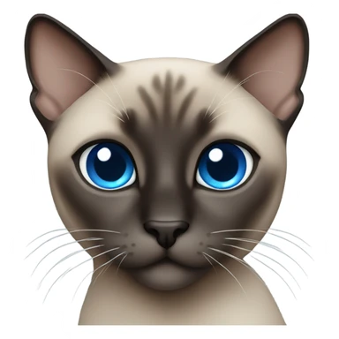 Dark siamese cat blue eyes sticker