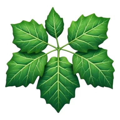 Ivy leaf  sticker