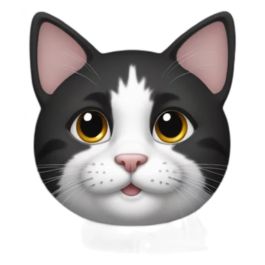 a cat with black fur and white around paws and nose sticker