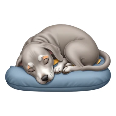 Gray Weimaraner sleeping sticker