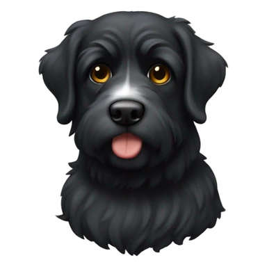 Un bouvier bernois  sticker