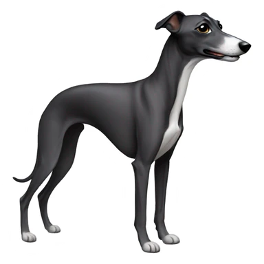 Black whippet sticker