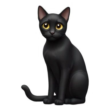 Black cat  sticker