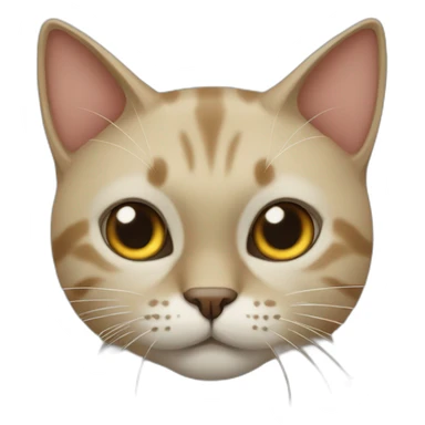 gato rabioso sticker