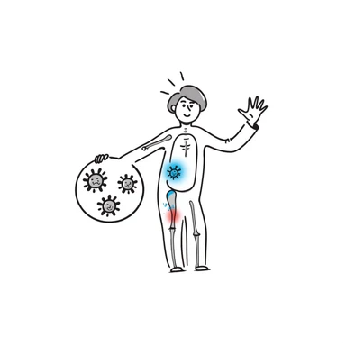 Medical illustration of anti-inflammatory process: transparent human body with highlighted joints, cool blue healing energy neutralizing red inflammation areas, small circular inset showing immune cells becoming calm, clean clinical style with soft futuristic background sticker