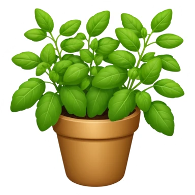 oregano herb bouquet sticker