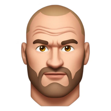 Tyson Fury sticker