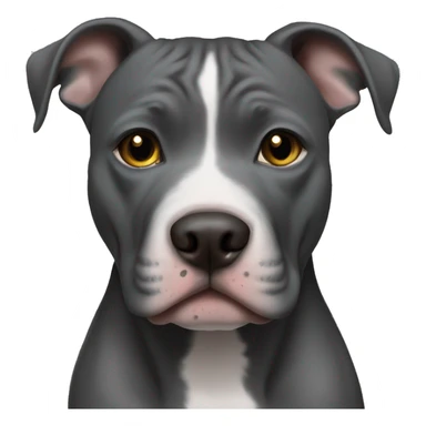 all dark grey pitbull no white with hazel eyes girl grey nose sticker
