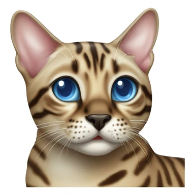Seal Bengal cat with Blue eyes standing sticker