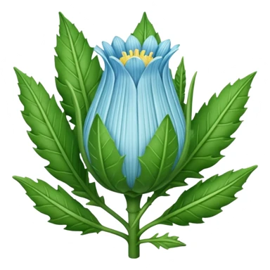 Sugarloaf chicory or Pan di Zucchero sticker