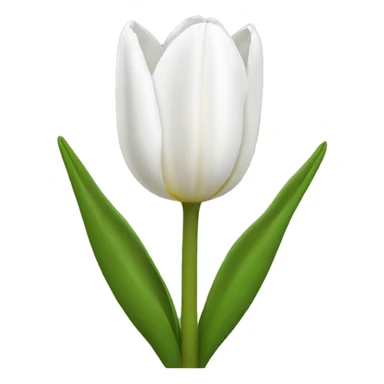 White tulip sticker