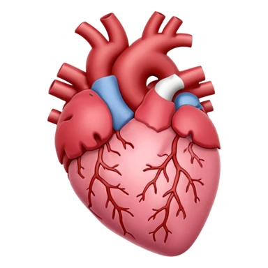 Anatomical heart, soft pink, light, iOS emoji style, variation 3 sticker